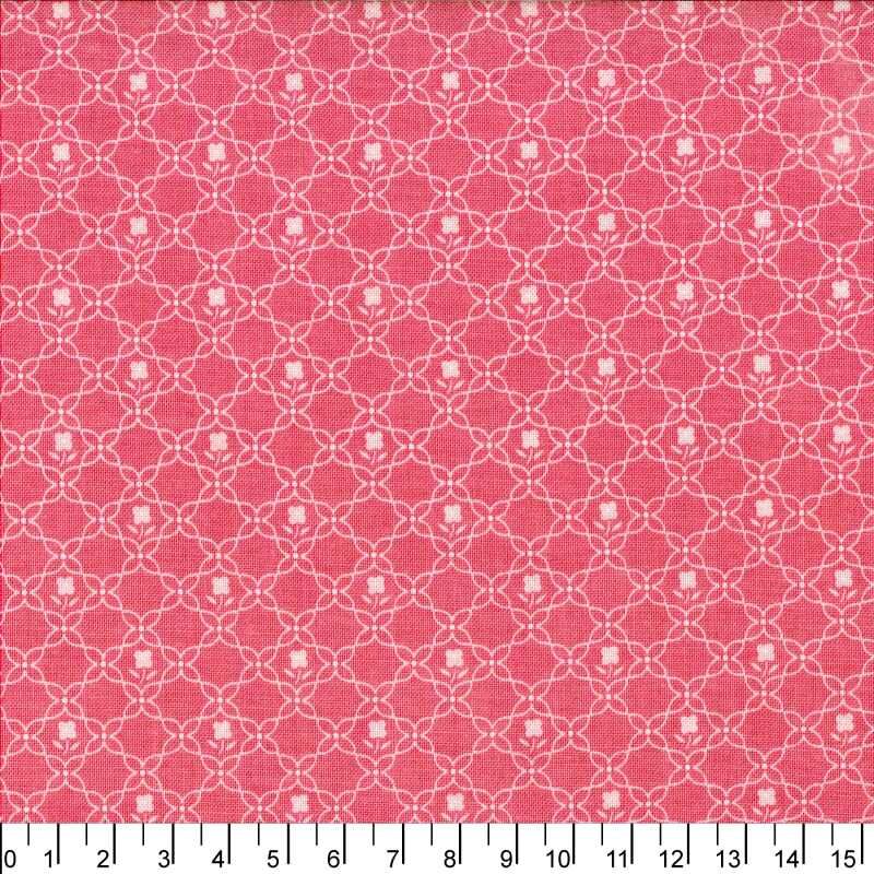 進口棉布23120080[1尺]