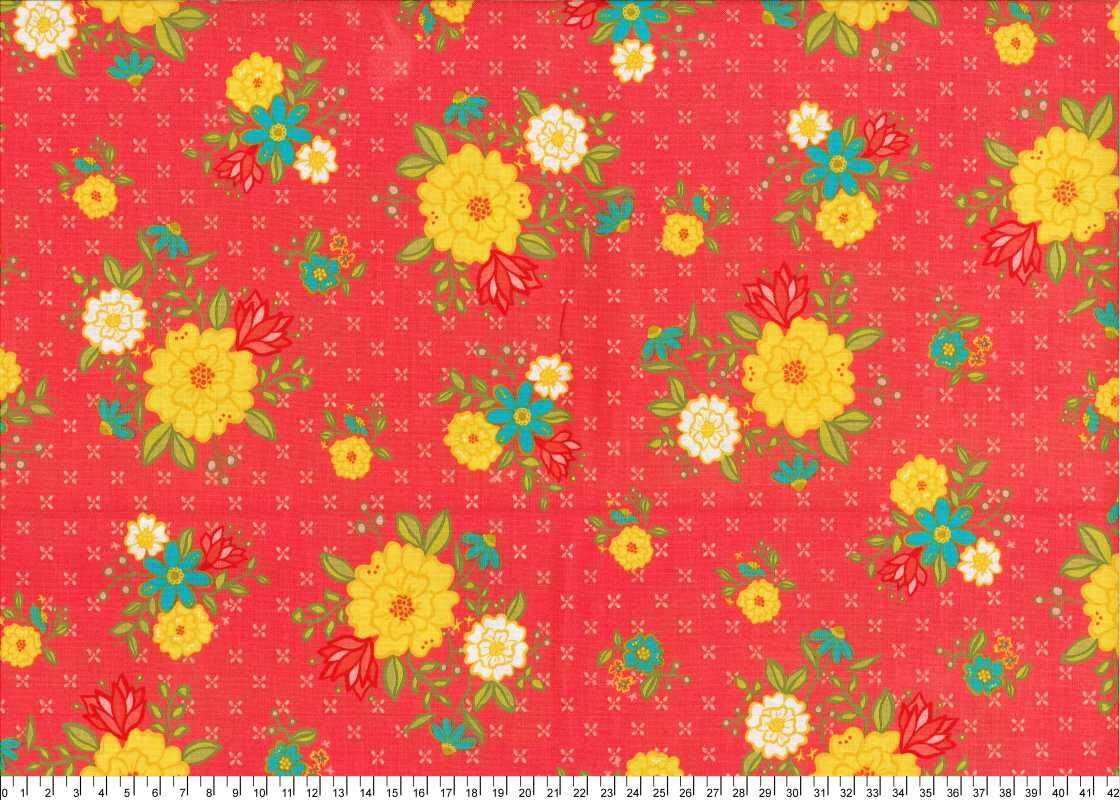 進口棉布23120099[1尺]