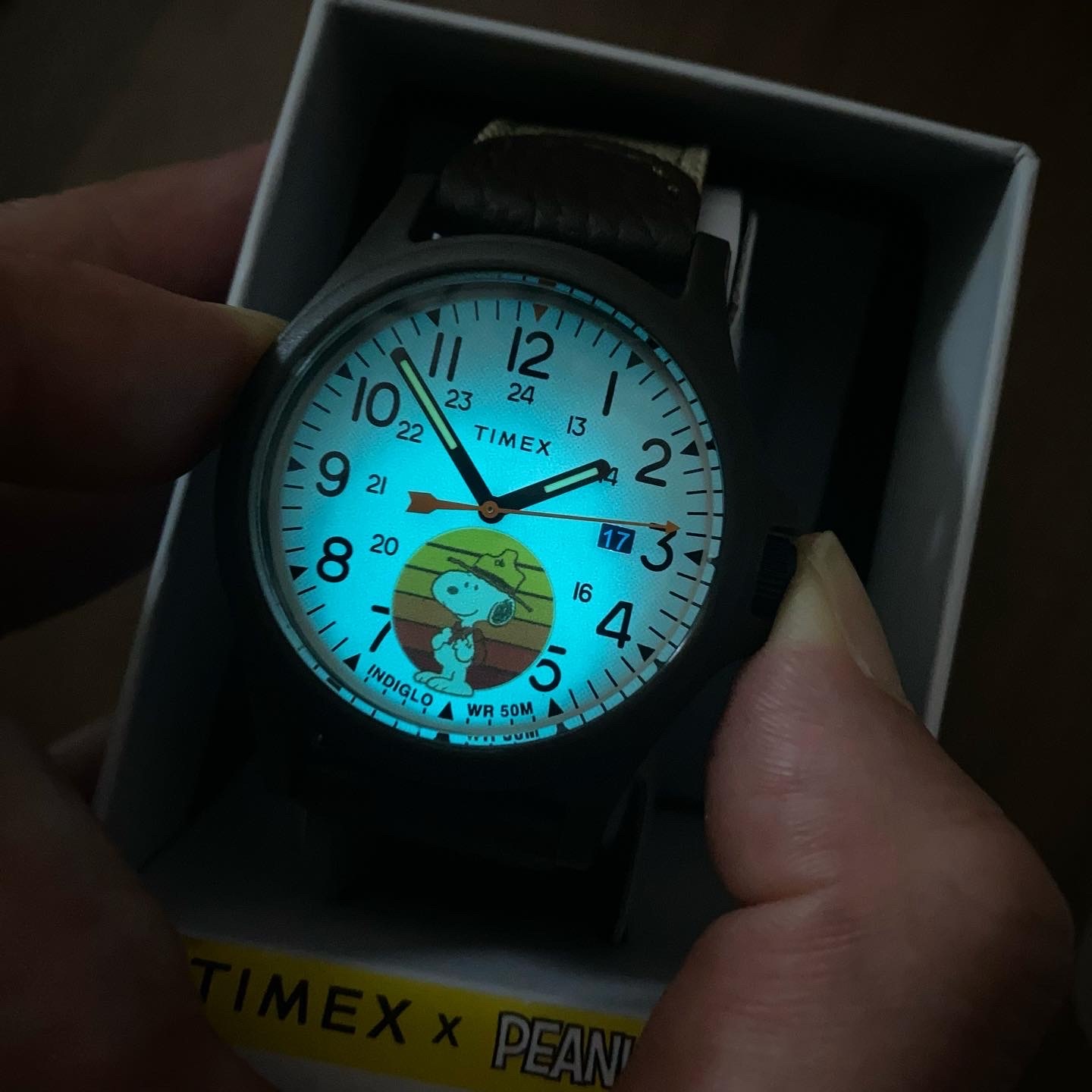 Timex Expedition x Peanuts 史努比 40mm 尼龍帶 石英錶 TW4B29200