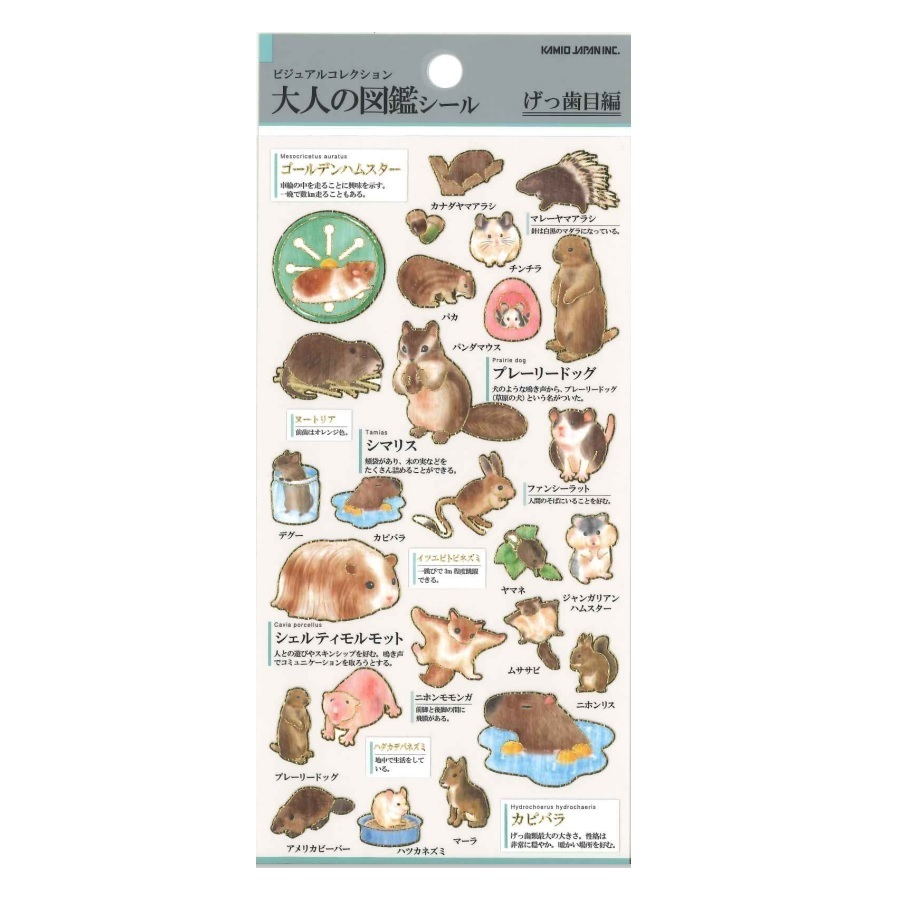 鼠類 大人的圖鑑 金箔壓印手帳貼紙｜日本Kamio