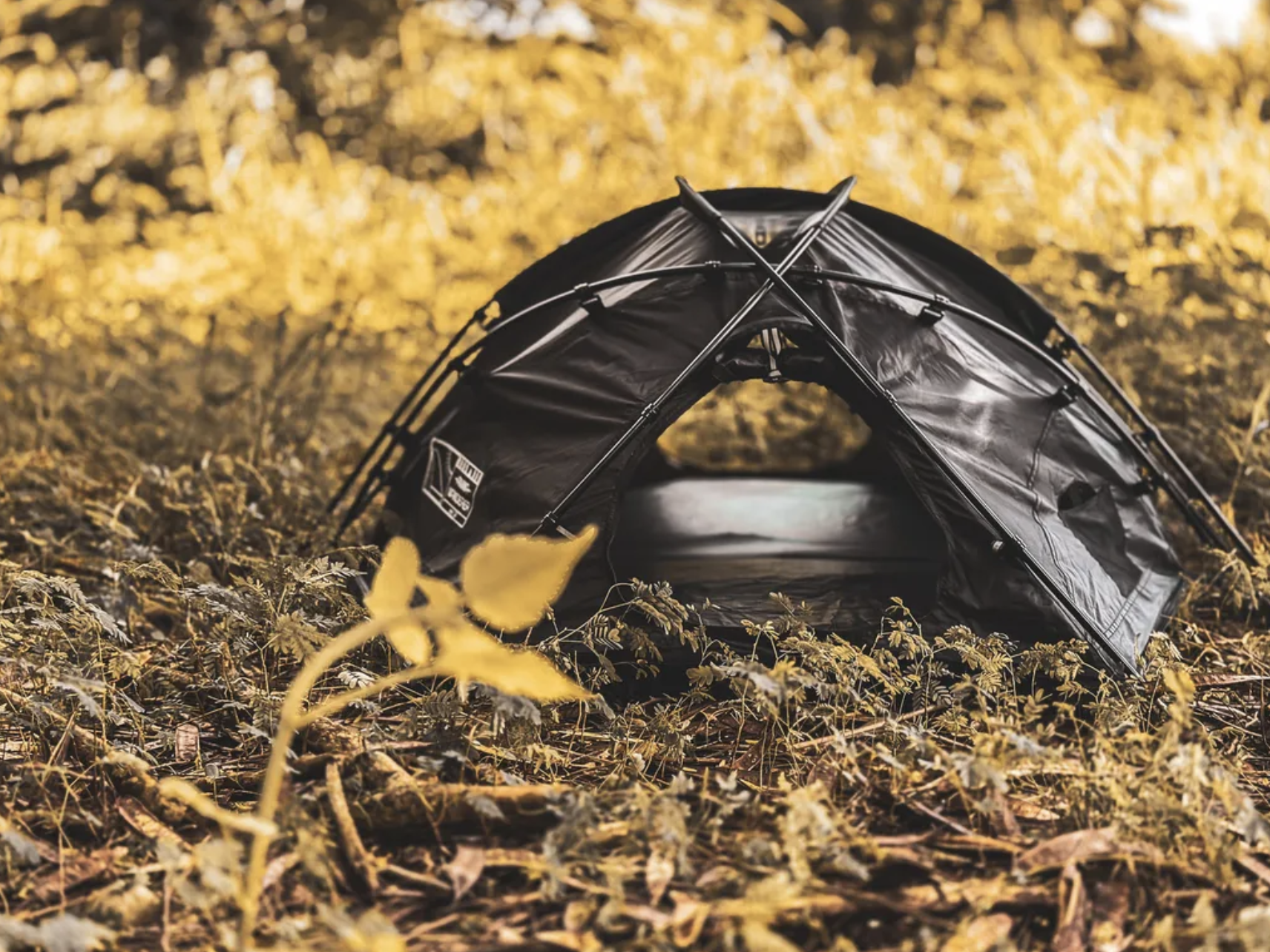 ANiMA WANDERER BAT-P01 - Petto Fan Tent 寵物營帳