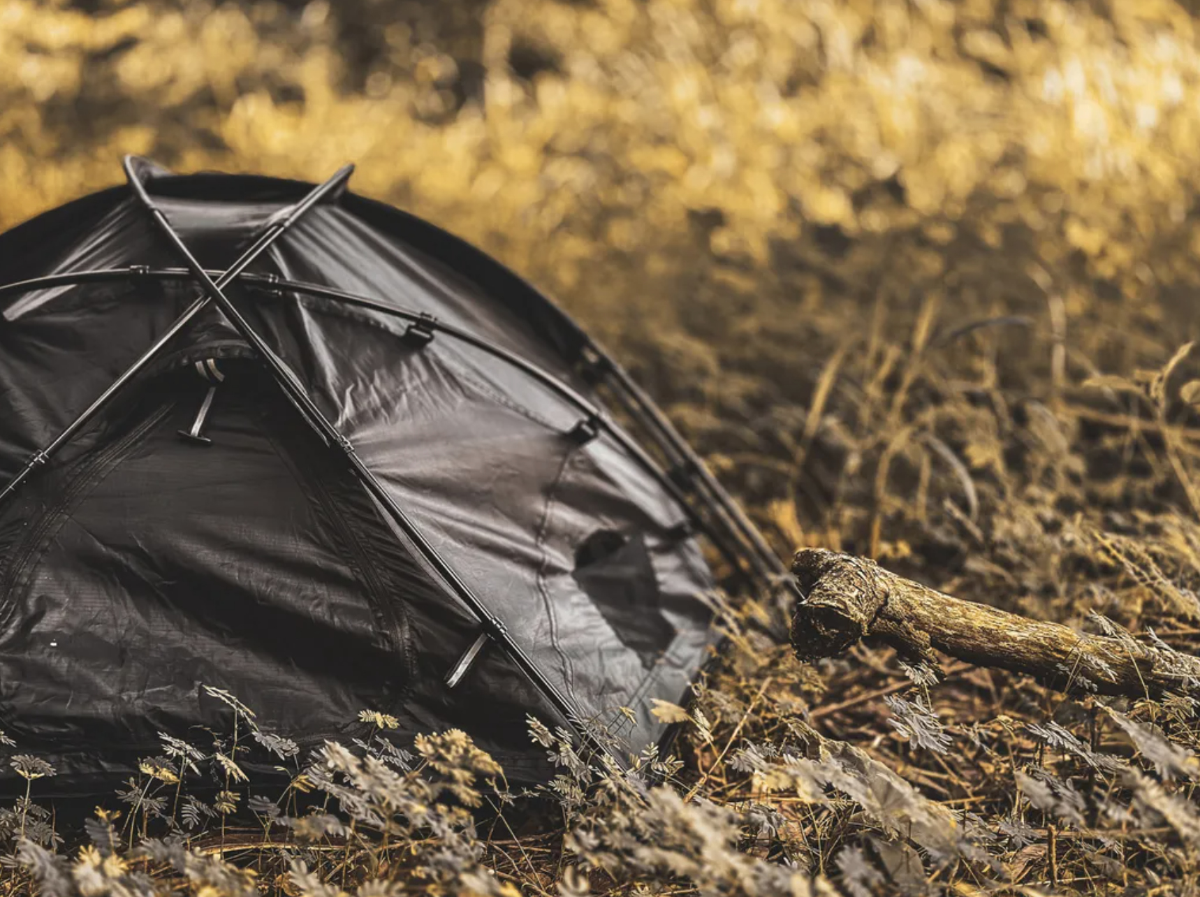 ANiMA WANDERER BAT-P01 - Petto Fan Tent 寵物營帳