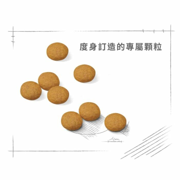 Royal Canin - 狗乾糧 - 大型犬皮膚舒緩加護配方 (12公斤)