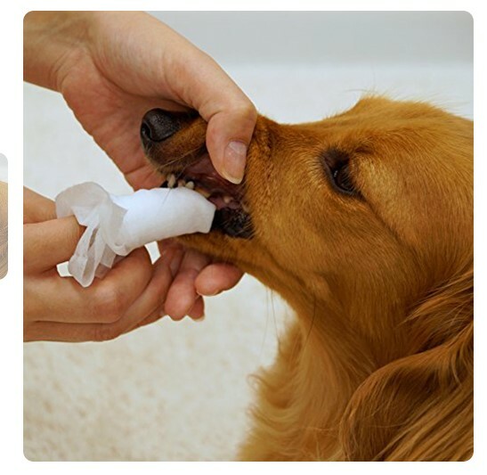 Doggyman 牙齒清潔濕紙巾 30張