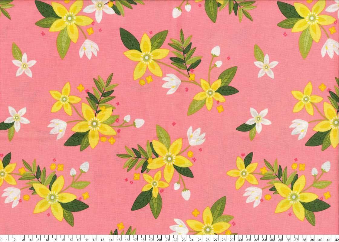 進口棉布23120142[1尺]