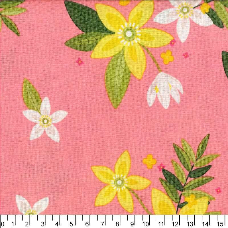 進口棉布23120142[1尺]