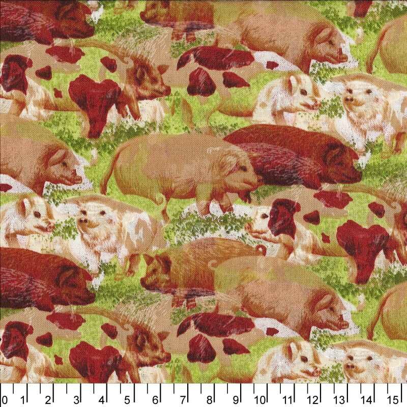 進口棉布23120213[1尺]