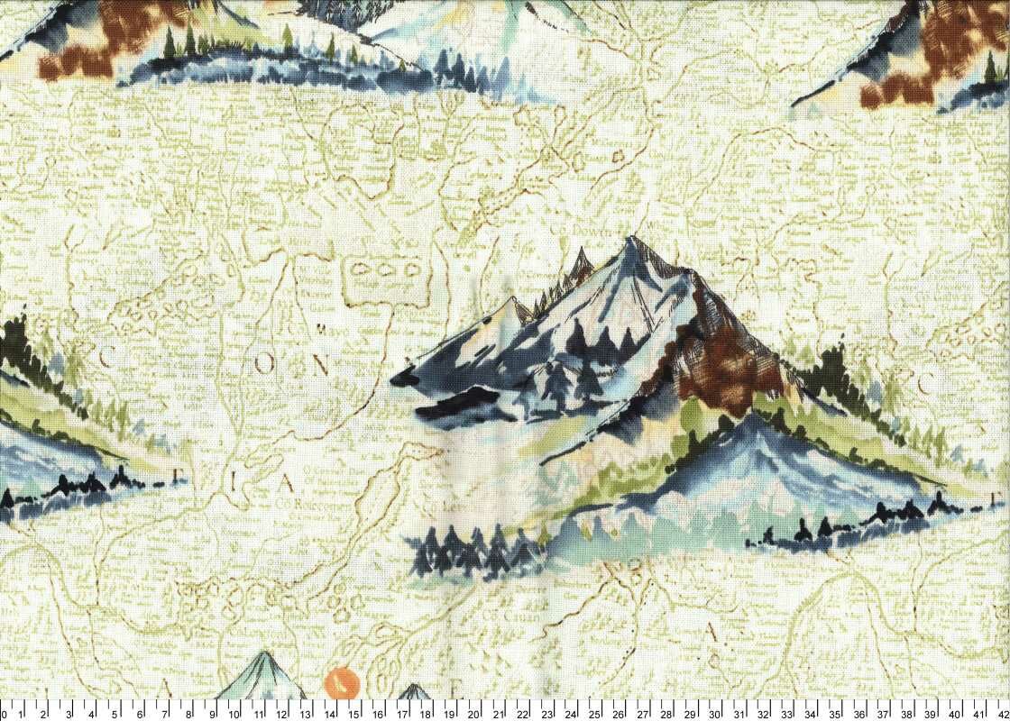 進口棉布23120246[1尺]