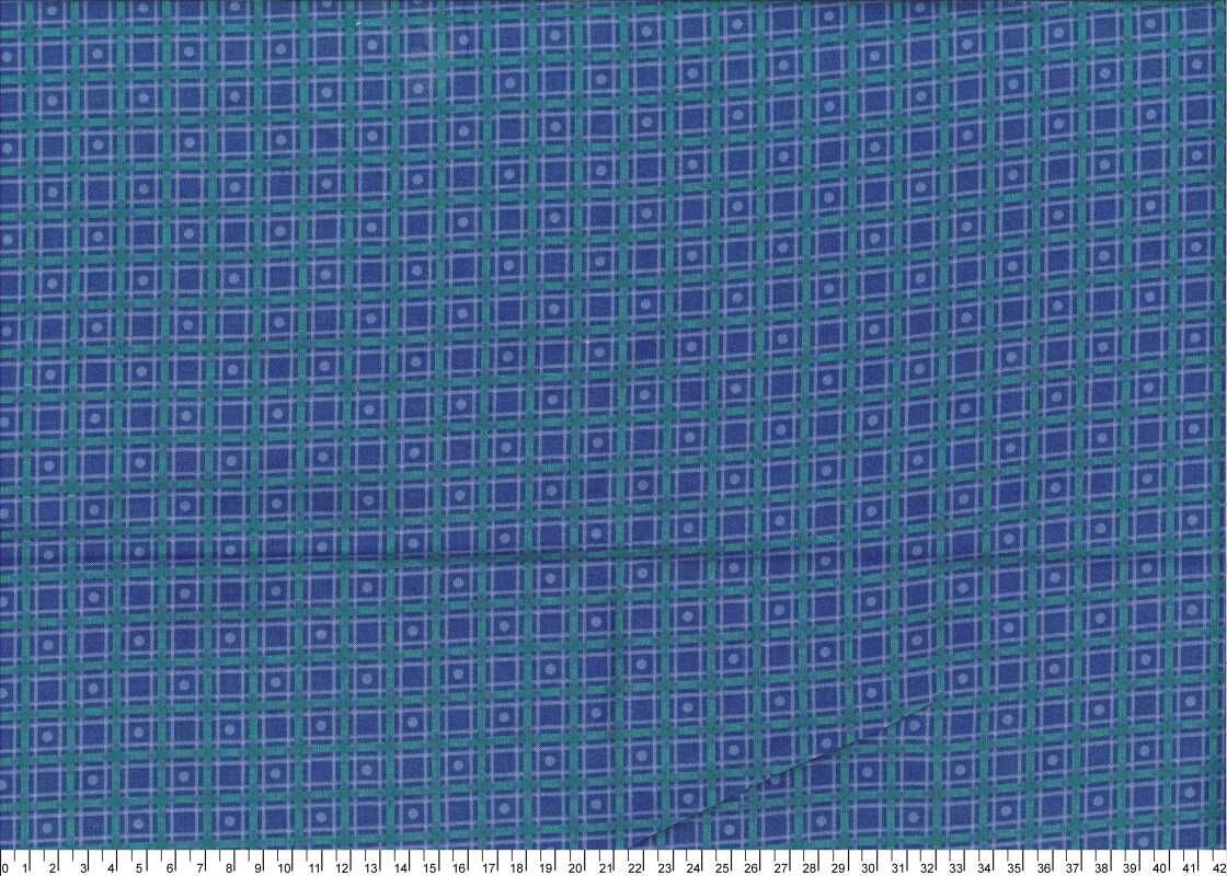 進口棉布23120251[1尺]