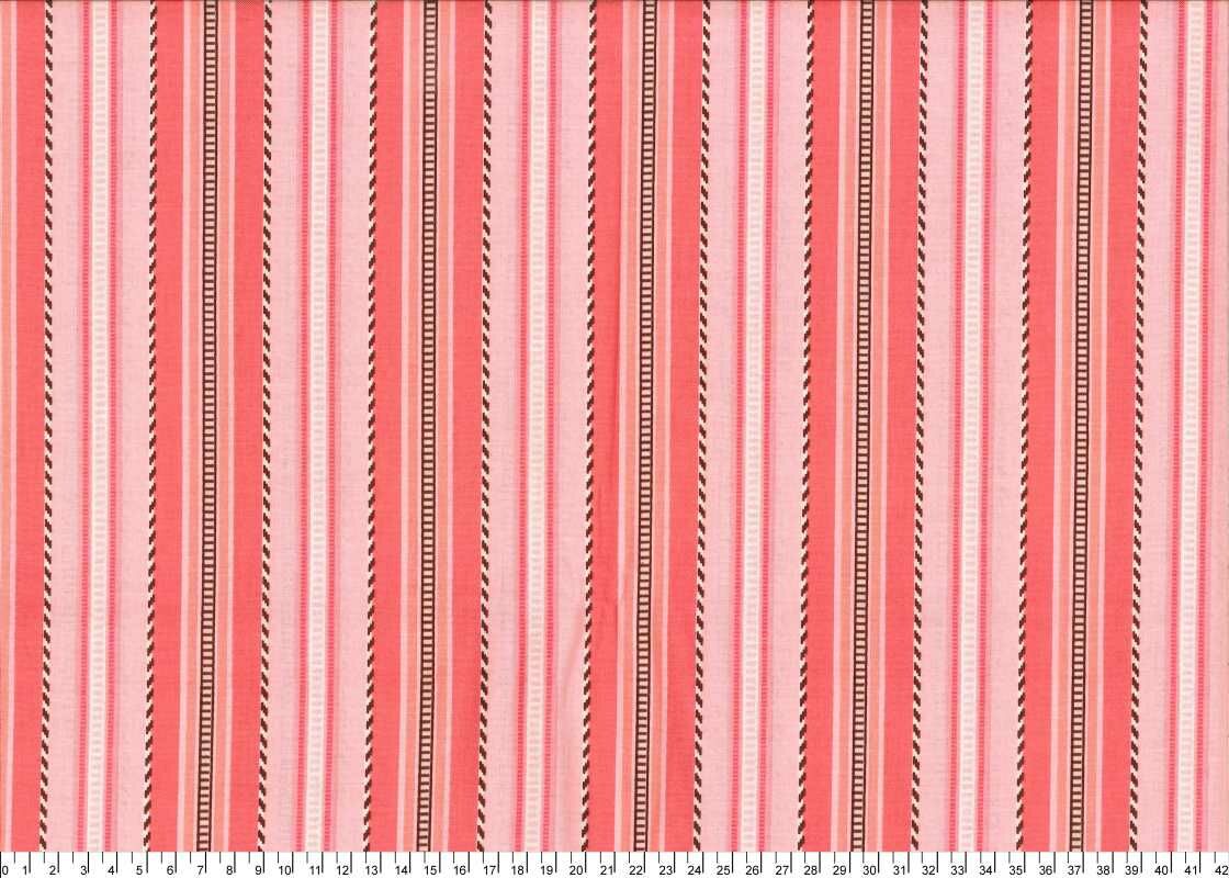 進口棉布23120255[1尺]