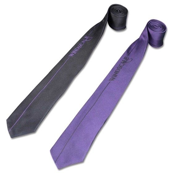 227024 Pbandai 預訂2025/5月 仮面ライダーW WIND SCALE　ネクタイ　ロゴ柄　ジョーカーカラー