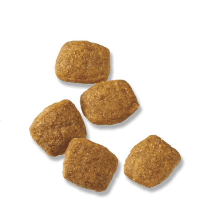 冠能 成犬 7+ 雞肉配方 16LB