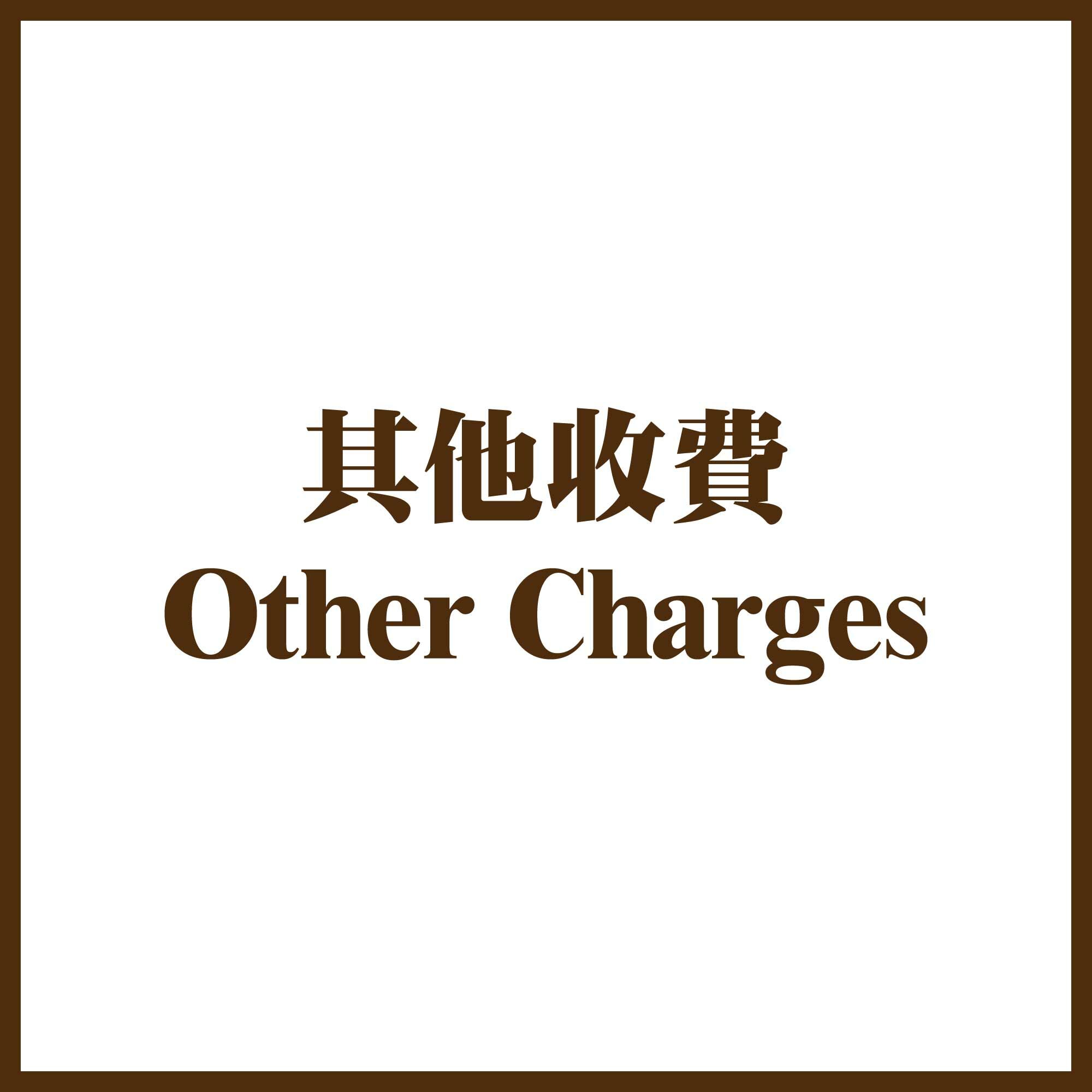 其他收費