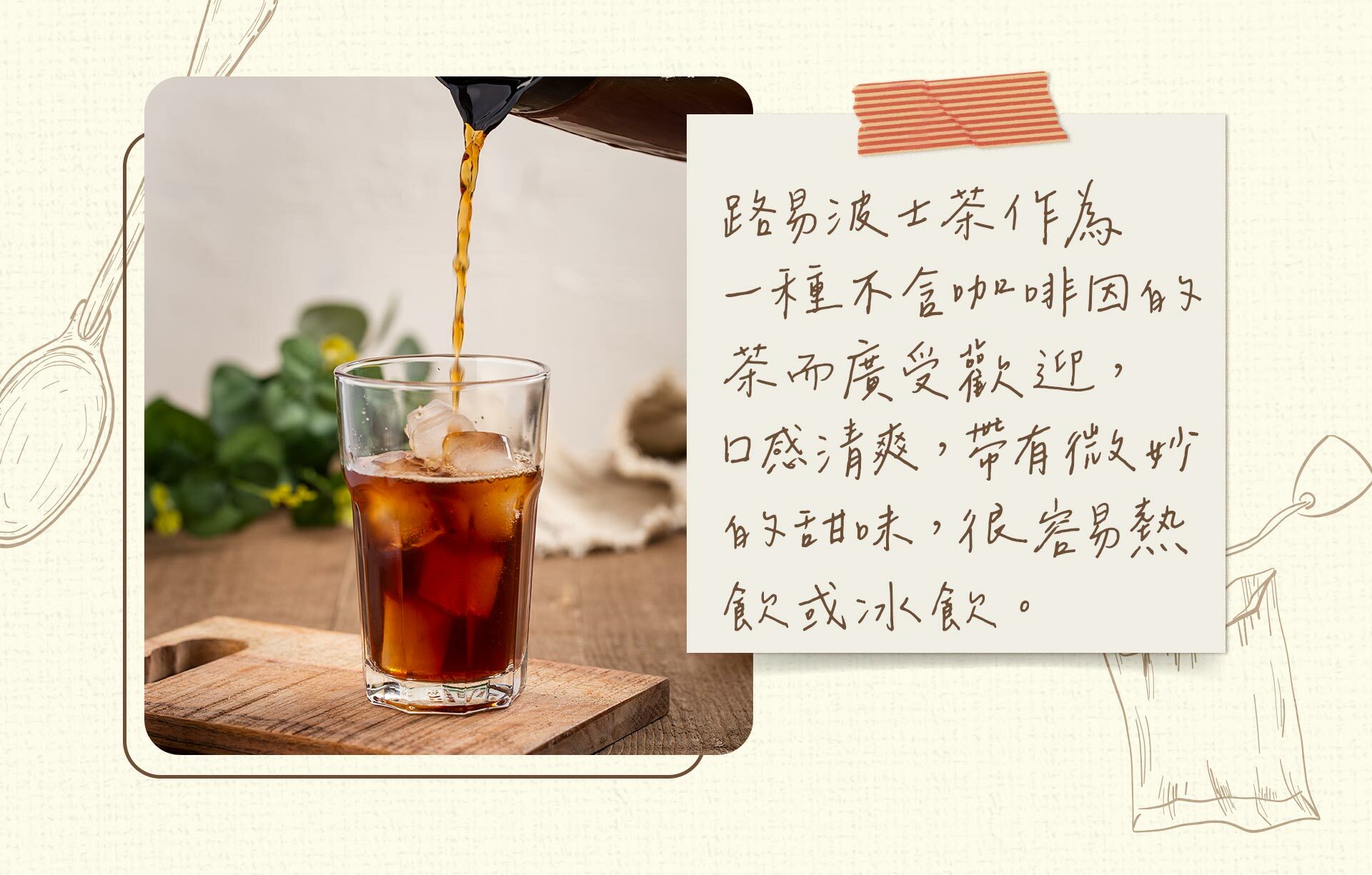 路易波士茶不含咖啡因，相當受到歡迎。微甜帶有清爽口感，無論熱飲或冰飲都很適合。