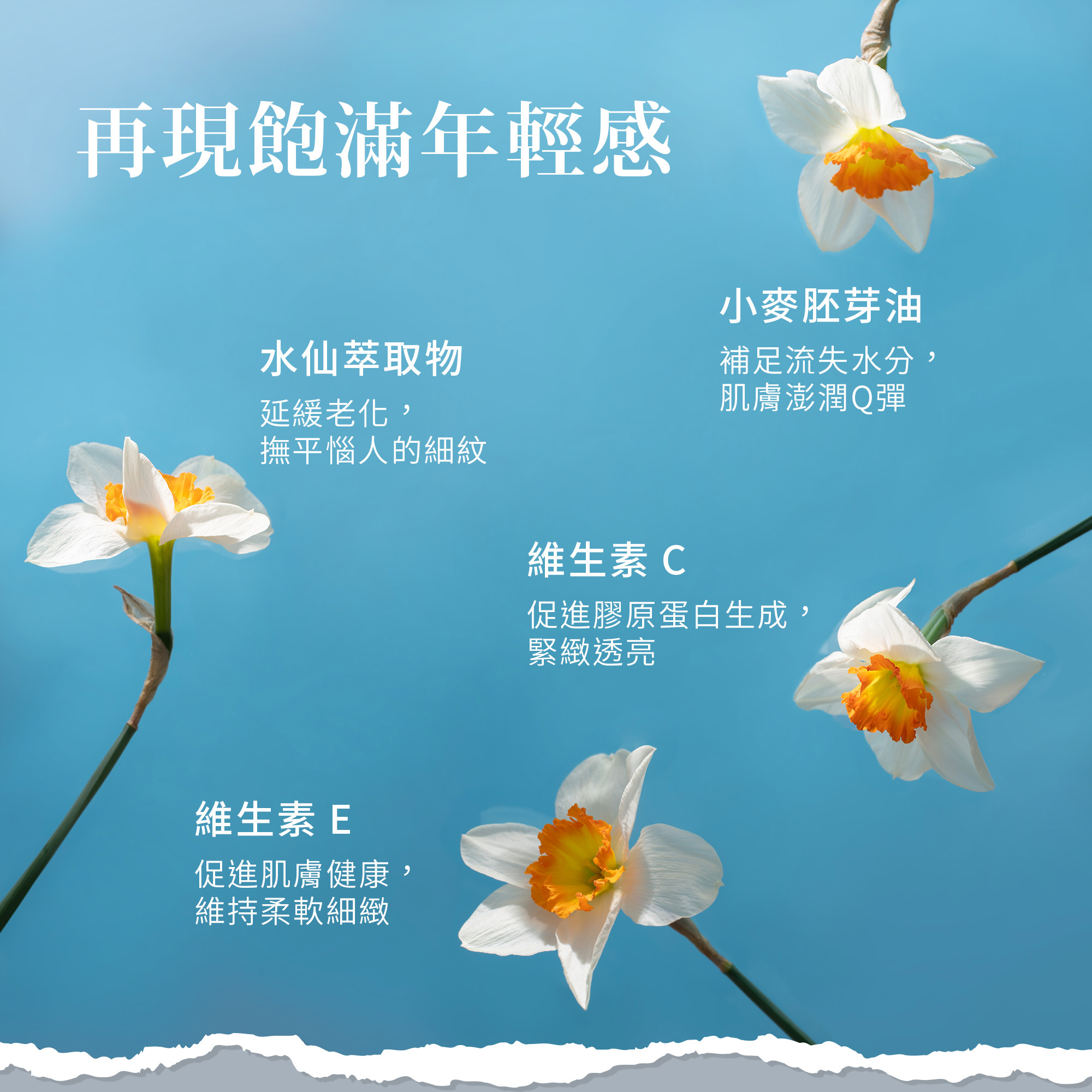 水仙花植萃保濕乳霜