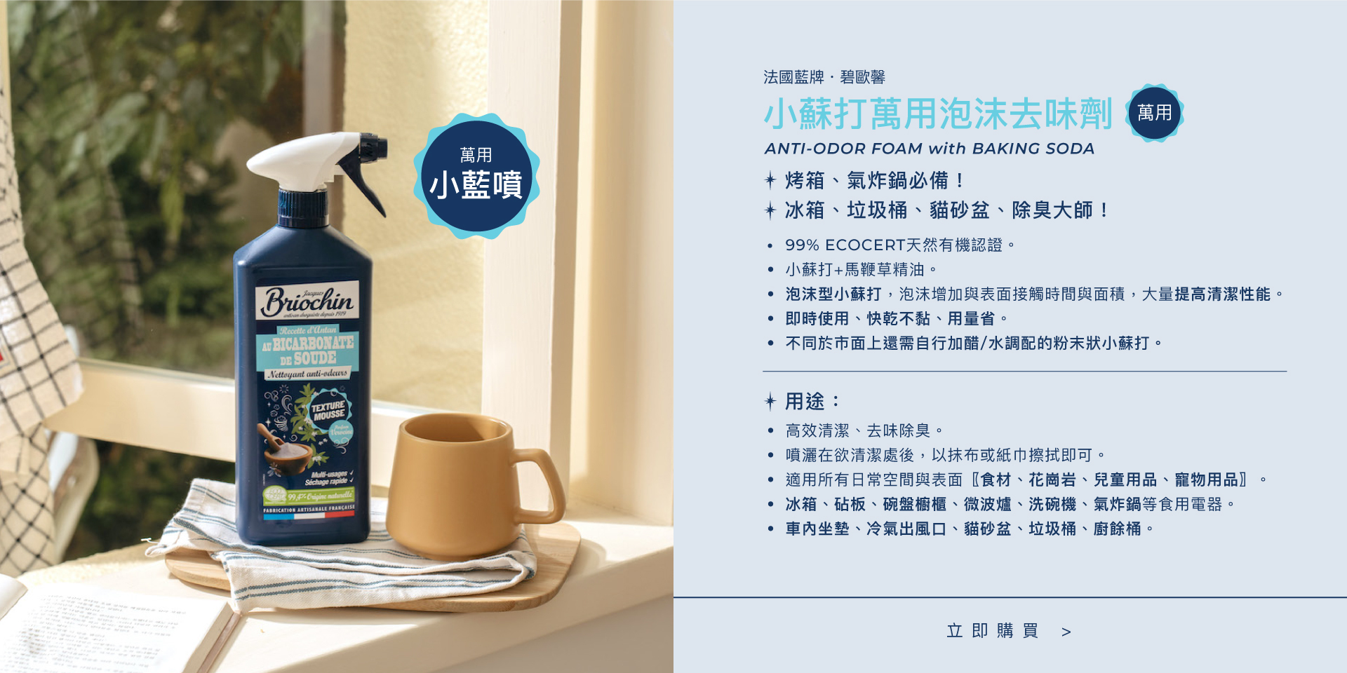 Jacques Briochin 小蘇打萬用泡沫去味清潔劑 750ml