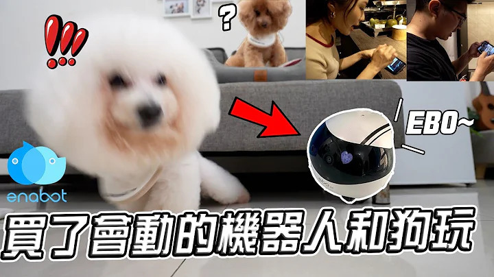 ebo,寵物攝影機,居家攝影機,監視器,貓,狗,寵物,廣角鏡頭,高清