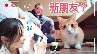 ebo,寵物攝影機,居家攝影機,監視器,貓,狗,寵物,廣角鏡頭,高清