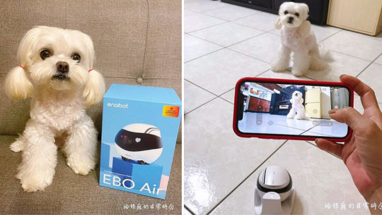 ebo,寵物攝影機,居家攝影機,監視器,貓,狗,寵物,廣角鏡頭,高清