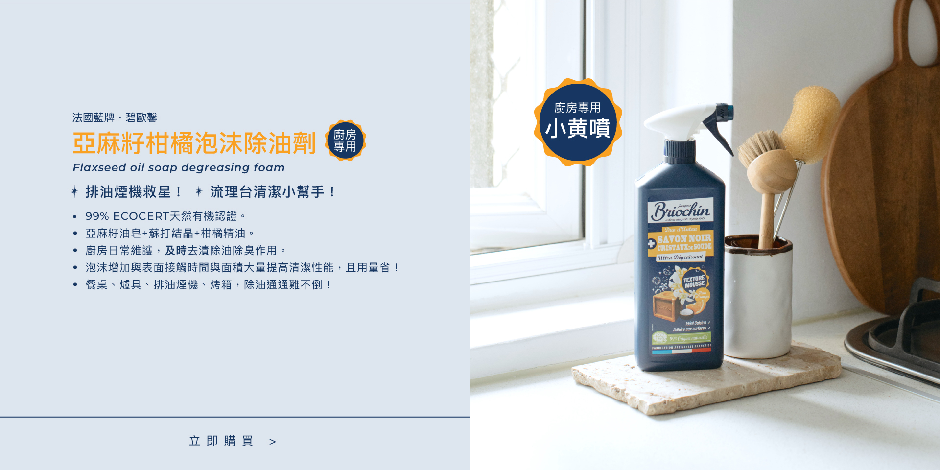 Jacques Briochin 亞麻籽柑橘泡沫除油劑750ml (廚房專用)