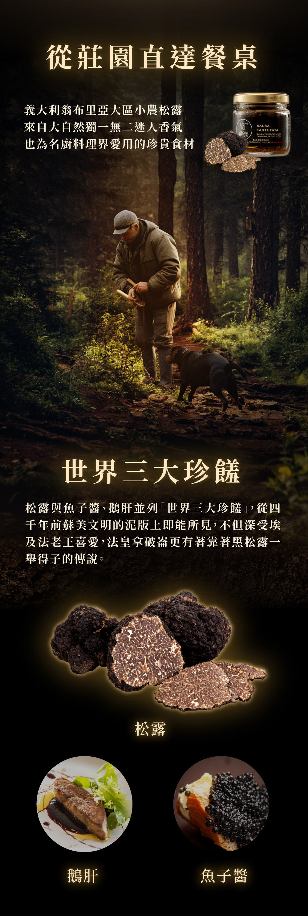 芳茲精準比例融合義大利「夏季黑松露」，香醇順口無腥味的日月養生滴雞精，再透過新鮮黑松露優雅高貴香氣，黑鑽松露滴雞精含有總多酚、鋅、碘、蛋白質、總支鏈胺基酸及膠原蛋白等多種營養，無添加任何調味料，低鈉、零膽固醇、零脂肪、補充營養同時也是享受，撕開即飲。