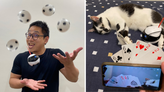 ebo,寵物攝影機,居家攝影機,監視器,貓,狗,寵物,廣角鏡頭,高清