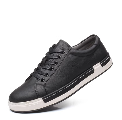 Casual leather shoes (wjl41588-B)