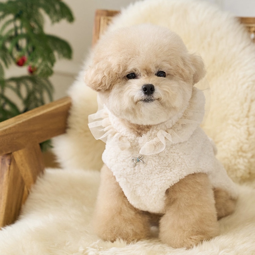 Winter bell毛背心-奶油白-pancho斗篷-It’s sunny outside