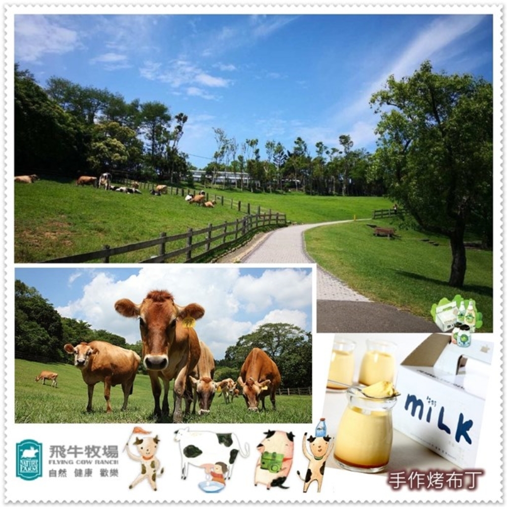 【苗栗】飛牛牧場 入園全票+烤布丁3入組  Ⓗ
