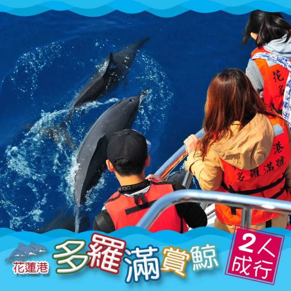 【花蓮】多羅滿賞鯨 雙人搭乘券 Ⓗ