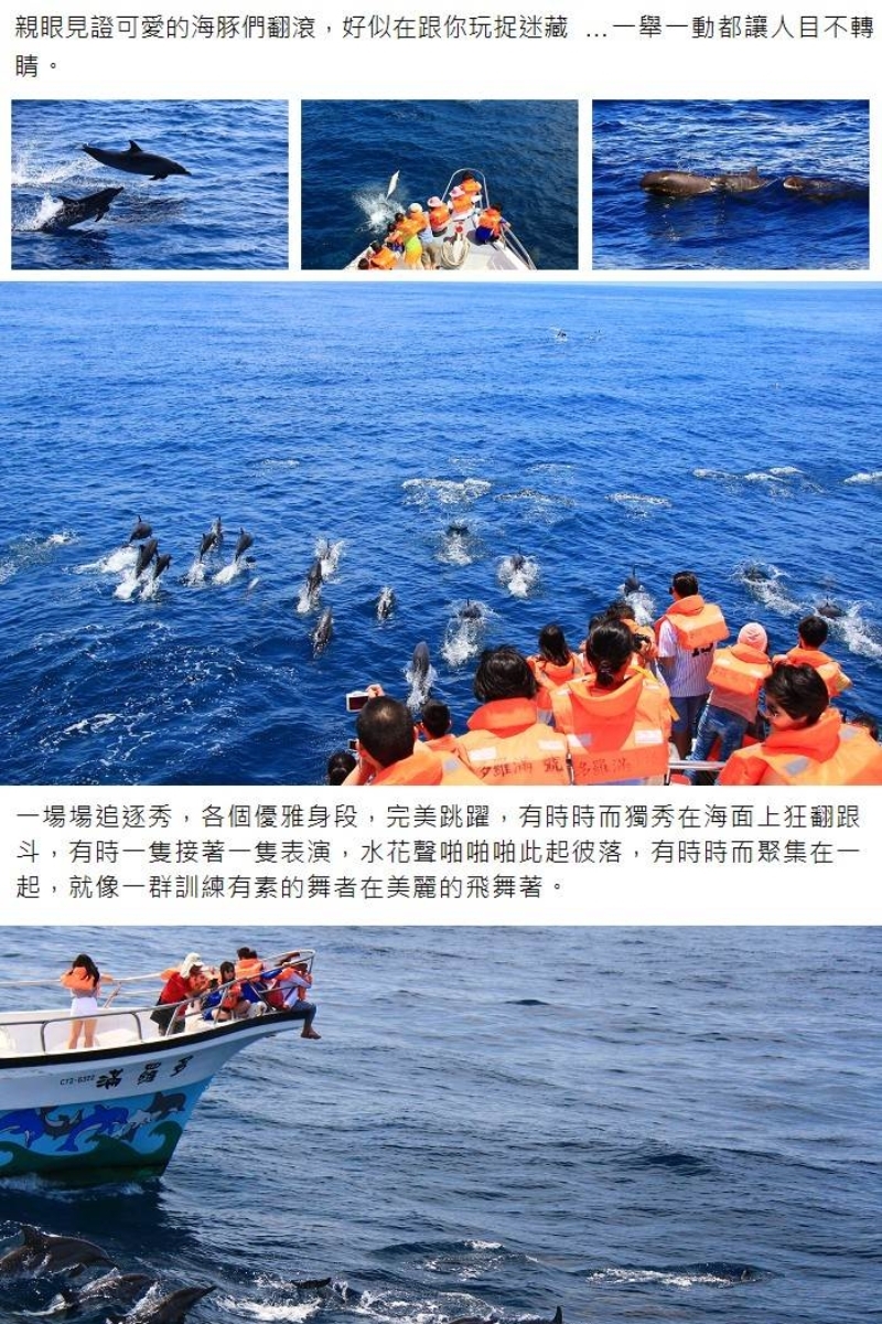 多羅滿賞鯨 說明