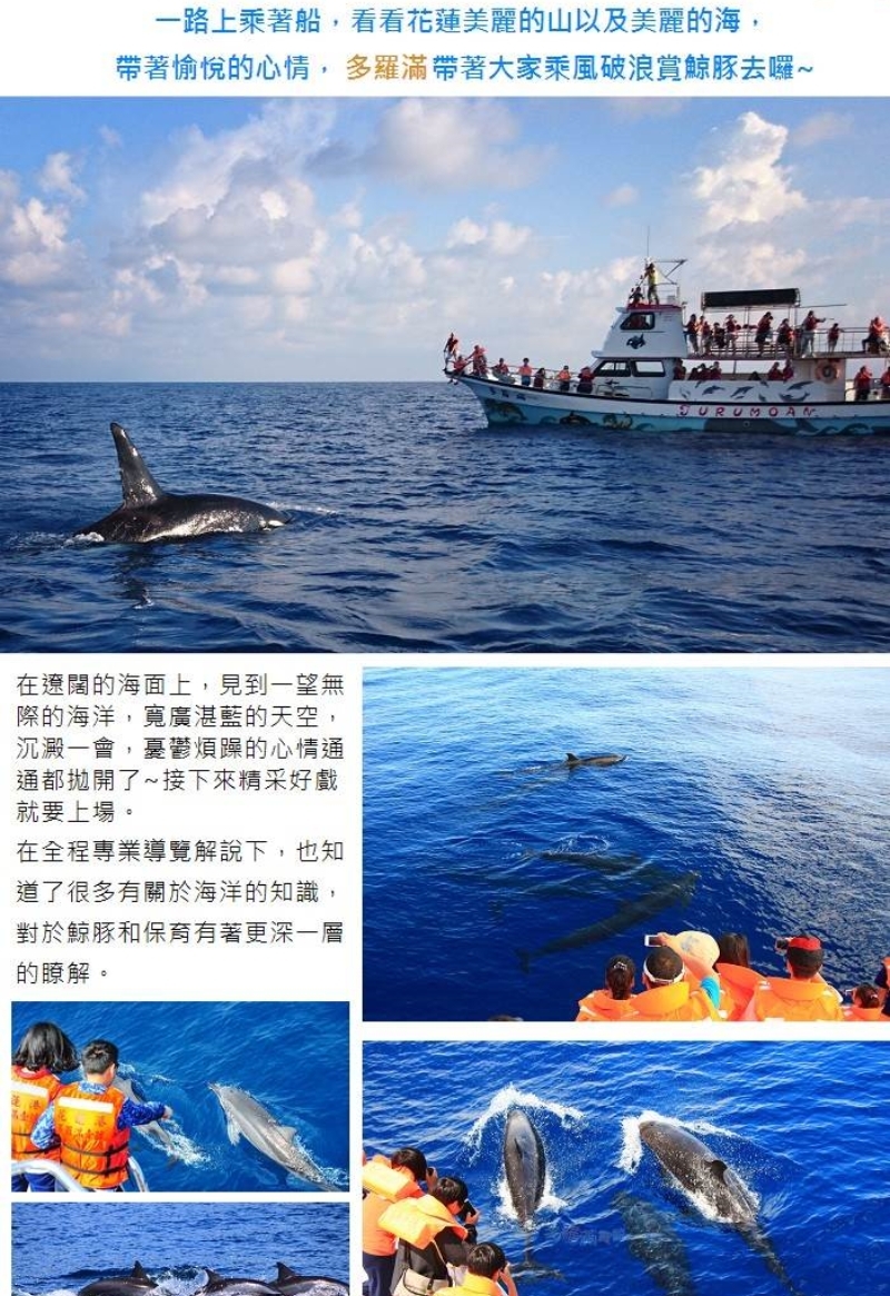 多羅滿賞鯨 旅程介紹