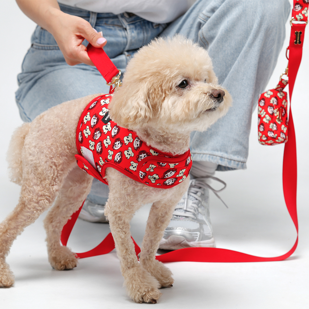 NORADOG Peco Wear Harness