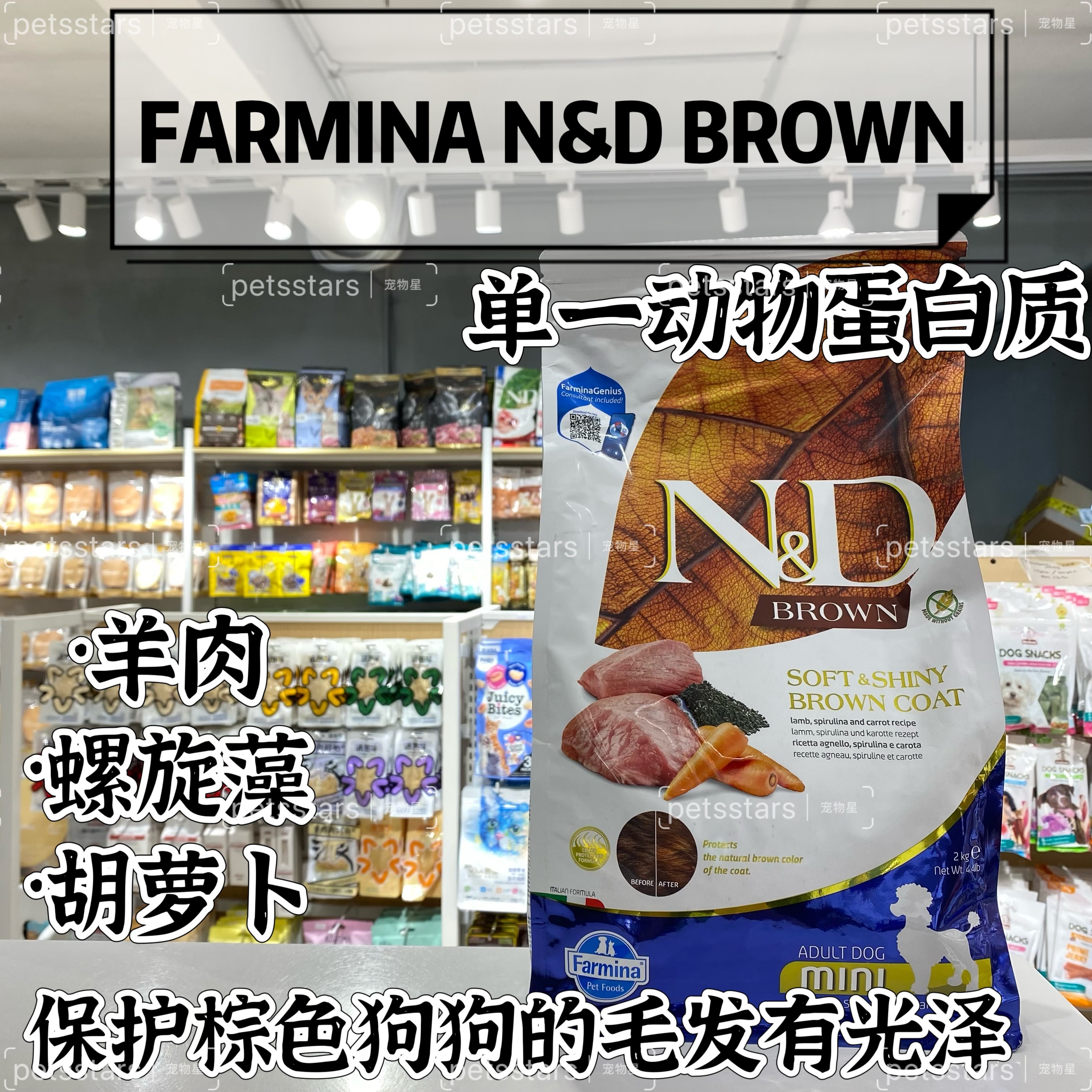 FARMINA N&D BROWN DOG FOOD GRAINFREE SINGLE PROTIEN 2KG