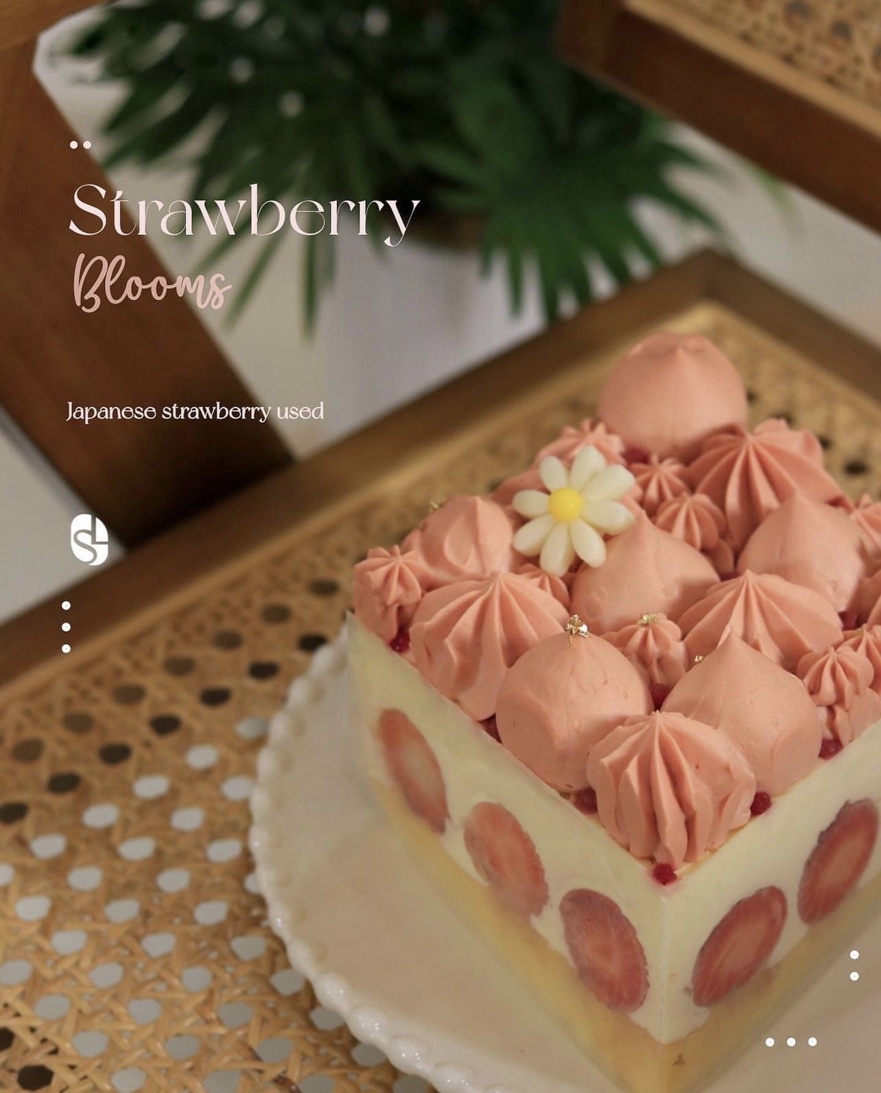 日本草莓芝士蛋糕