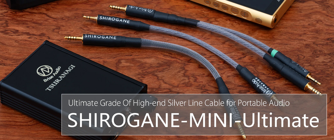 Brise Audio SHIROGANE-MINI Ultimate 對錄線