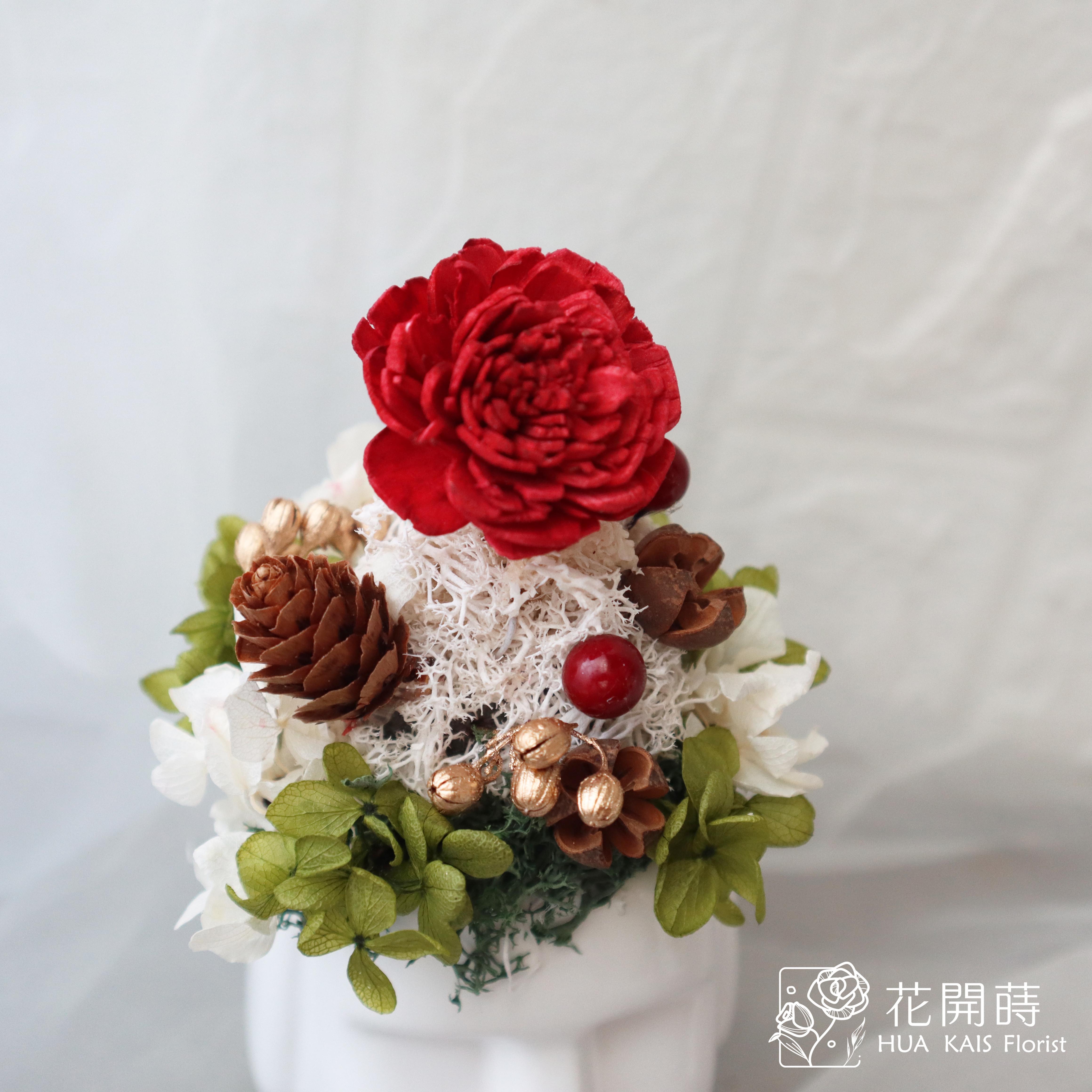 聖誕摩艾小桌花|白精靈|開幕小盆栽|生日禮物|辦公桌小盆花|交換禮物