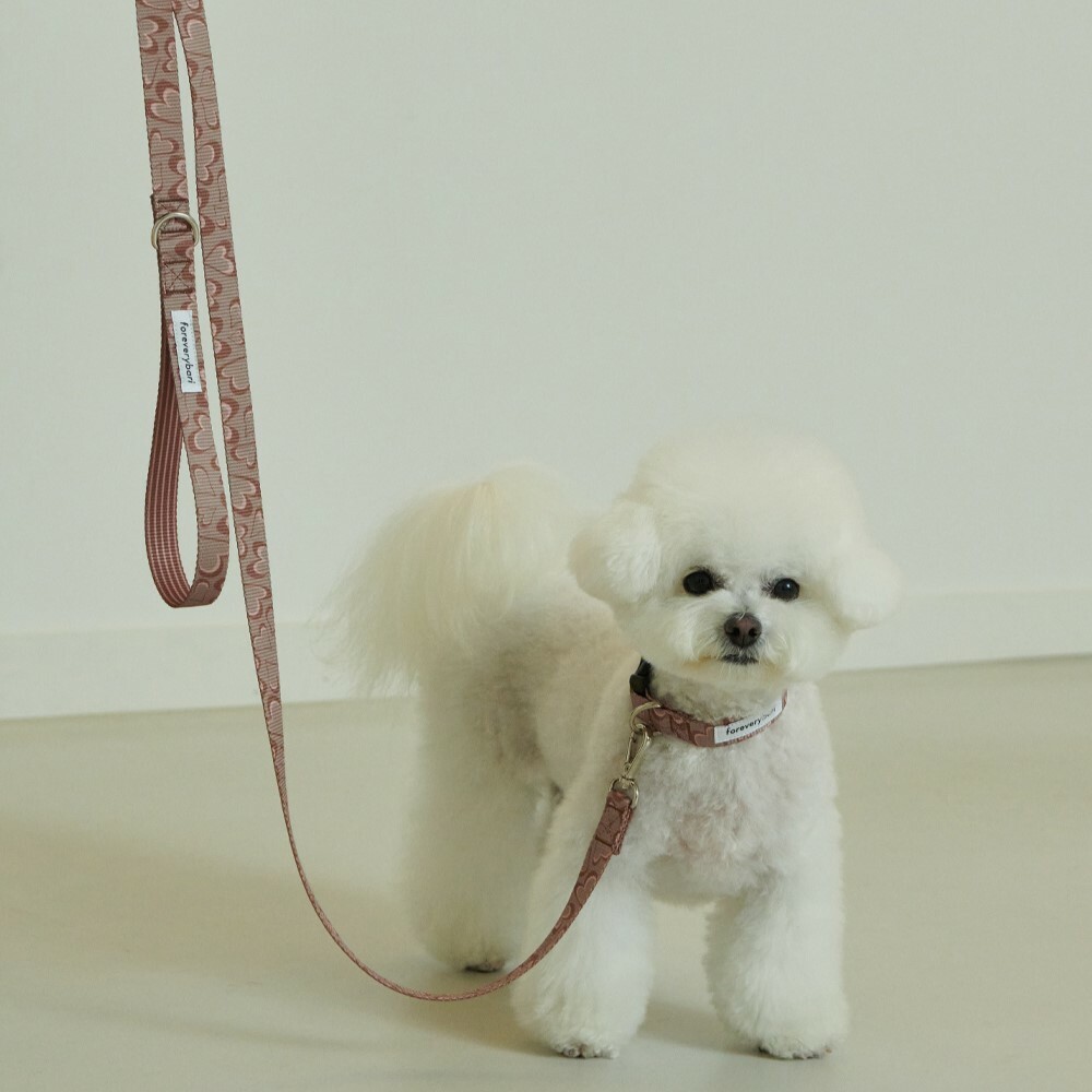 foreverybari new york 永恆之心系列牽繩 (可可)