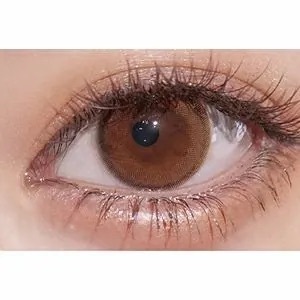 [日拋] Ferenne 1 Day Eccrine Brown 彩妝隱形眼鏡｜每盒10片