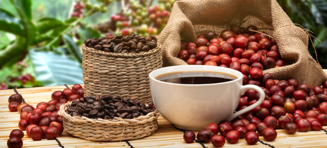 咖啡豆推薦｜如何挑選咖啡豆？10大熱門推薦品項、特色整理！