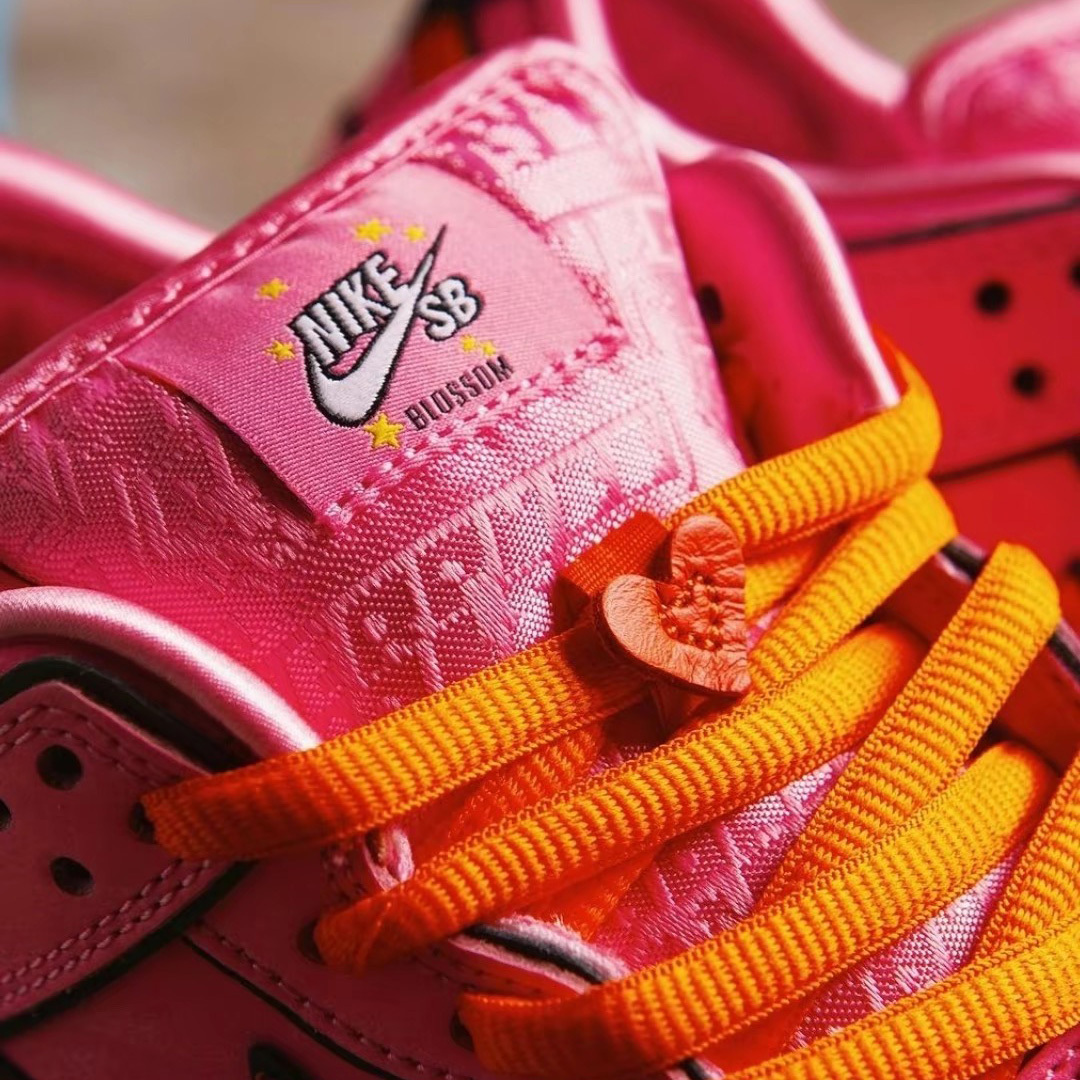 THE POWERPUFF GIRLS X NIKE SB DUNK LOW PRO 飛天小女警花花男鞋