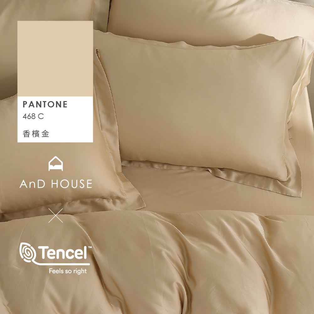 60支天絲｜100%萊賽爾｜香檳金｜單品&床包被套組