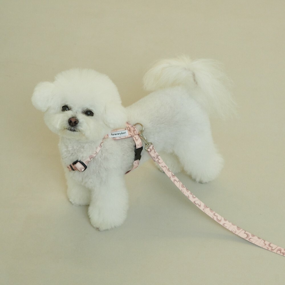 foreverybari new york 永恆之心系列胸背 (草莓)