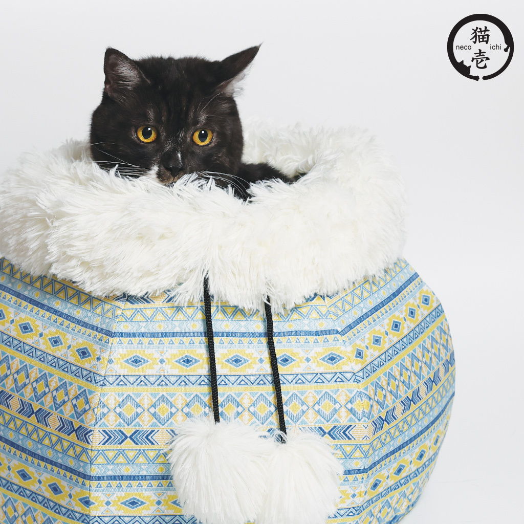 貓壹 貓巢 2024 波希米亞