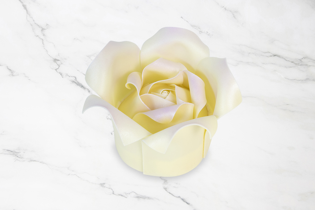 Ivory Chocolate Rose Cake PTW016L