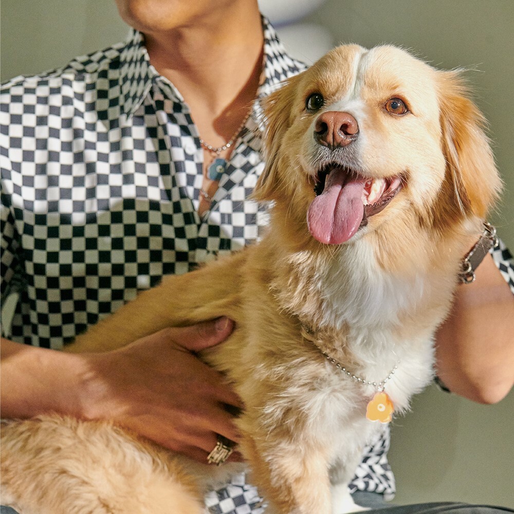 foreverybari new york 三色堇寵愛項鍊 (小太陽)