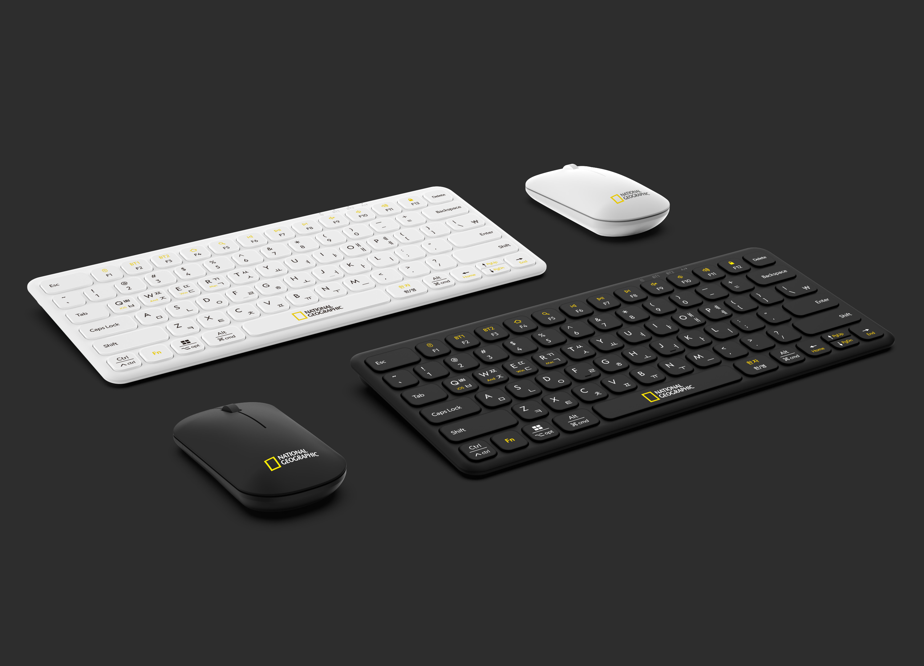 National Geographic-無線超薄鍵盤(黑色/白色)