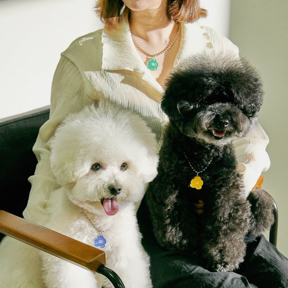 foreverybari new york 三色堇寵愛項鍊 (青木瓜)