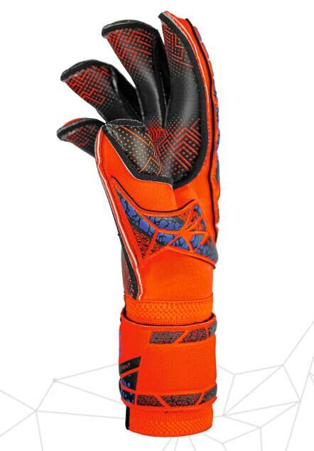 Attrakt Gold X Evolution GluePrint  hyper orange