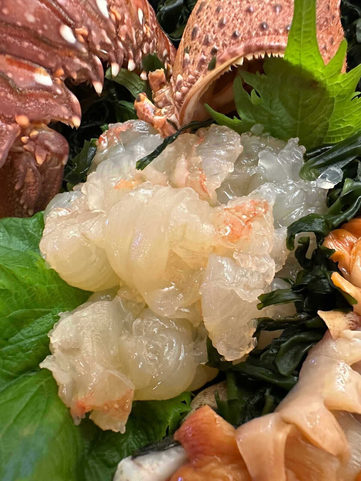 伊勢海老刺身(一隻約12両)